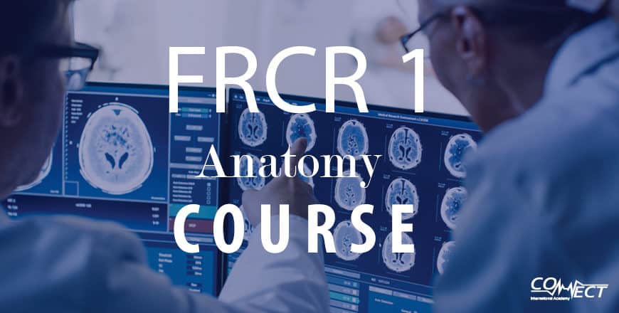 FRCR Part 1 Anatomy